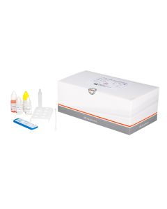 BIOSYNEX® Strep A pikatesti (kasetti) 20 testiä