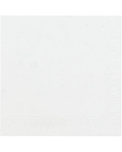 Duni lautasliina valkoinen 33x33cm 1/4 1-krs 500kpl