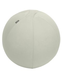 Leitz aktiivipallo 55cm vaaleanharmaa