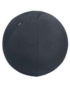 Leitz aktiivipallo 65cm tummanharmaa