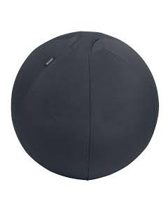 Leitz aktiivipallo 65cm tummanharmaa